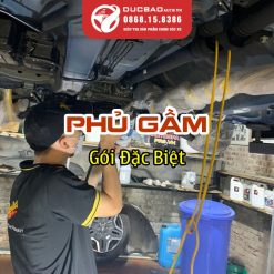Phu Gam Goi Dac Biet