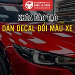 Dao Tao Dan Decal