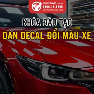 Dao Tao Dan Decal