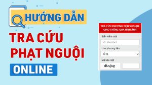 Huong Dan Tra Cuu Phat Nguoi